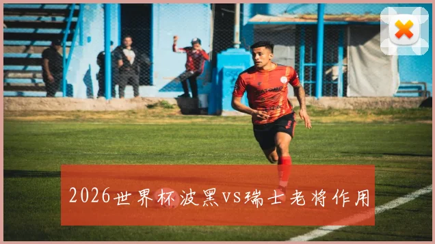 2026世界杯波黑vs瑞士老将作用