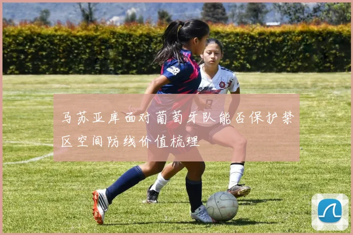 马苏亚库面对葡萄牙队能否保护禁区空间防线价值梳理