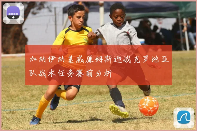 加纳伊纳基威廉姆斯迎战克罗地亚队战术任务赛前分析
