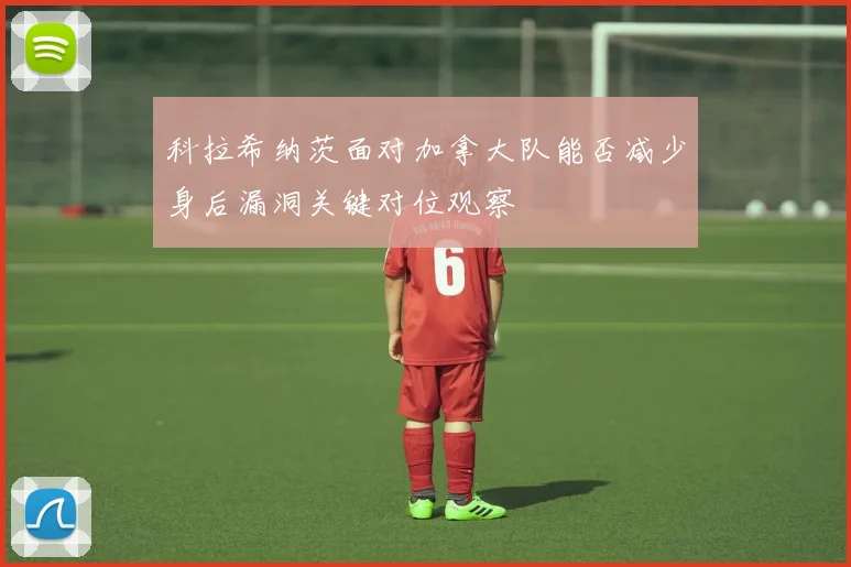 科拉希纳茨面对加拿大队能否减少身后漏洞关键对位观察